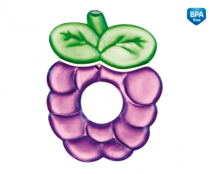 Прорезыватель водный охлаждающий Canpol Fruits арт. 2/812, 0+ мес., ягодка фиолетовый
