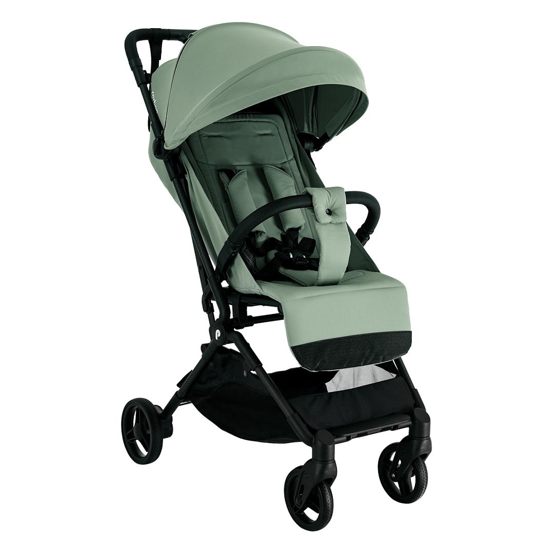 Прогулочная коляска PITUSO PERA Emerald mood/рама carbon
