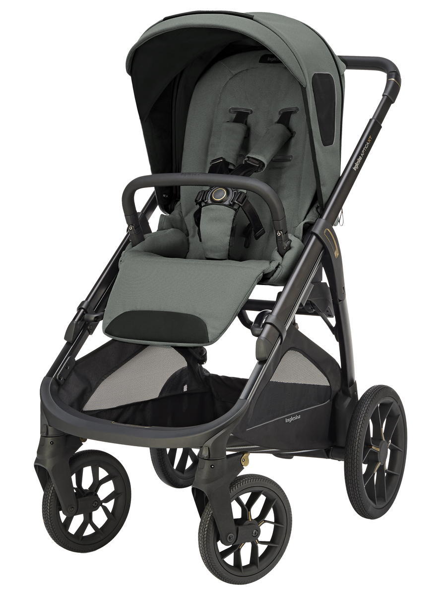 Прогулочная коляска Inglesina Aptica XT New Taiga Green 2025