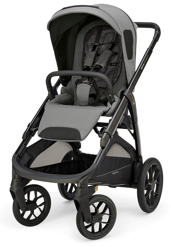 Прогулочная коляска Inglesina Aptica XT New Canyon Grey 2025