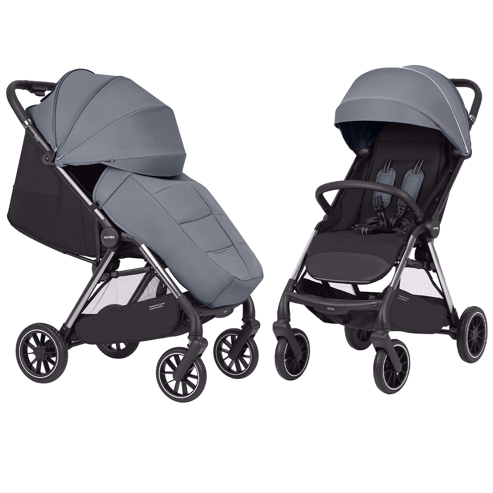 Прогулочная коляска CARRELLO Delta CRL-5517 Flint Grey