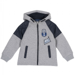 Толстовка Chicco для мальчиков, №58 — Серый, р.116