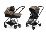 Коляска 2 в 1 Cybex Mios FE Butterfly