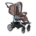 Коляска 2 в 1 Teutonia Fun —  4930 Country Picnic