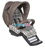 Коляска 2 в 1 Teutonia Fun —  4865 Rustic Country