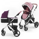 Коляска 2 в 1 Tutti Bambini Riviera — Silver/Pink/Plum