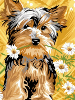Картина по номерам ТМ Цветной 30х40 на подрамнике, арт. EX — EX5256 Йоркширский терьер с ромашками