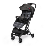 Прогулочная коляска Baby Care Daily — Паттерн