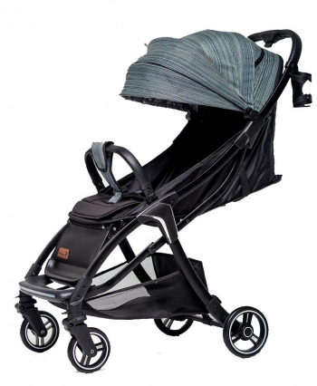 Прогулочная коляска Peppy RIO — mix