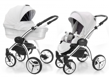 Коляска 2 в 1 Esspero LE Alesund (шасси I-Nova White) — Silver
