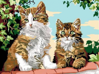 Картина по номерам ТМ Цветной 30х40 на подрамнике, арт. EX — EX5277 Котята на заборе