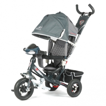 Трехколесный велосипед TechTeam 950D-ATMH — серый
