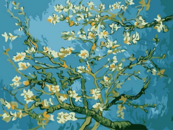 Картина по номерам ТМ Цветной 30х40 на подрамнике, арт. EX — EX5216 Цветы миндаля