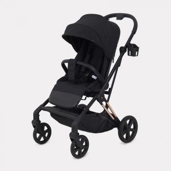 Прогулочная коляска RANT ACE — Graphite