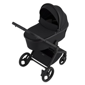 Детская коляска 2 в 1 ANEX Flo — ((fl-05c) Lungo)
