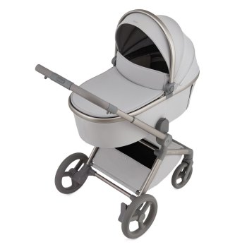 Детская коляска 2 в 1 ANEX Flo — ((fl-06c) Frossy)