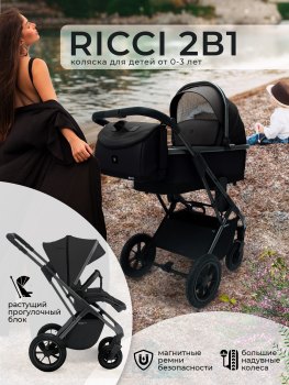Коляска 2 в 1 Sweet Baby Ricci — (Black (Air))