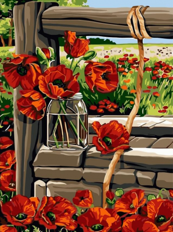 Картина по номерам ТМ Цветной 30х40 на подрамнике, арт. EX — EX5273 Маки у колодца