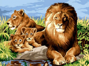 Картина по номерам ТМ Цветной 30х40 на подрамнике, арт. EX — EX5263 Львиная семья