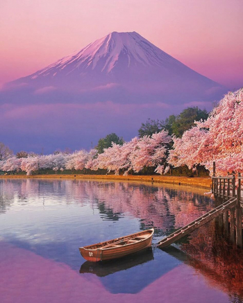 Картина по номерам ТМ Цветной 40х50 на подрамнике, арт. PG — PG0004 Лиловая безмятежность