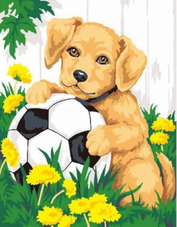 Картина по номерам ТМ Цветной 30х40 на подрамнике, арт. EX — EX5007 Щенок с мячиком