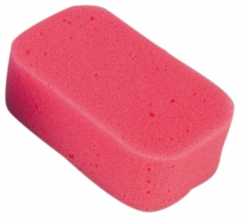 Губка Canpol "Коралл" арт. 43/100 — красный