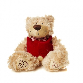 Мягкая игрушка Maxi Toys Мишка Маттео — в Жилетке