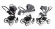 Коляска 3 в 1 Esspero Tour Leatherette (шасси White) Diamond