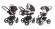 Коляска 3 в 1 Esspero Tour (шасси White) Grey Leves