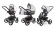 Коляска 3 в 1 Esspero Tour (шасси Graphite) Light Chek