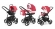 Коляска 3 в 1 Esspero Newborn Lux (шасси Black) Red Lux