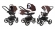 Коляска 3 в 1 Esspero Tour (шасси Black) Chocco