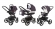Коляска 3 в 1 Esspero Tour (шасси Black) Grey Leves