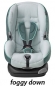 Foggy Down