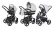 Коляска 3 в 1 Esspero Newborn Lux (шасси Graphite) Light Chek