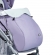 Lavander