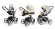Коляска 3 в 1 Esspero Grand Magic Pro (шасси White) Cream leatherette