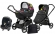 Коляска 3 в 1 Peg Perego Book Scout Elite Set Modular Manri