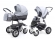 Коляска 2 в 1 Esspero Grand Discovery (шасси Graphite White) Grey Stone