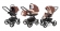 Коляска 3 в 1 Esspero Tour (шасси Graphite) Brown Beige