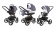 Коляска 3 в 1 Esspero Tour (шасси Black) Grey Lux