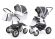 Коляска 2 в 1 Esspero Grand Discovery (шасси Graphite White) Royal Silver