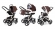 Коляска 3 в 1 Esspero Newborn Lux (шасси Beige) Chocco