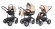 Коляска 3 в 1 Esspero Discovery (шасси Graphite) Beige Brown