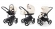 Коляска 3 в 1 Esspero Magic (шасси Black) Cream