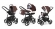 Коляска 3 в 1 Esspero Newborn Lux (шасси Black) Chocco