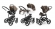 Коляска 3 в 1 Esspero Grand Magic (шасси White) Royal Brown