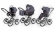 Коляска 3 в 1 Esspero Classic (шасси Chrome) Dark Grey