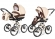 Коляска 2 в 1 Esspero Classic (шасси Graphite) Beige Brown