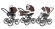 Коляска 3 в 1 Esspero Classic (шасси Graphite) Chocco